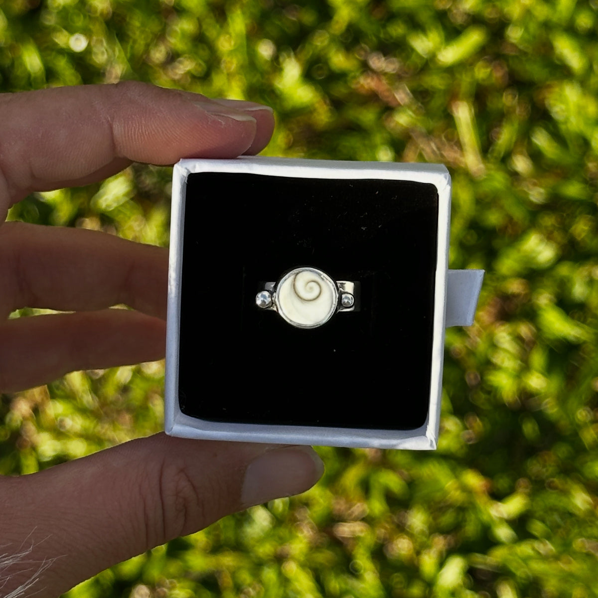 Operculum ring 2 SIZE: 6 1/4