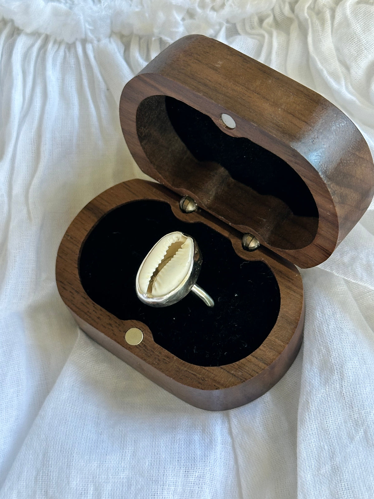 Simple Cowrie Ring SIZE: 6.5