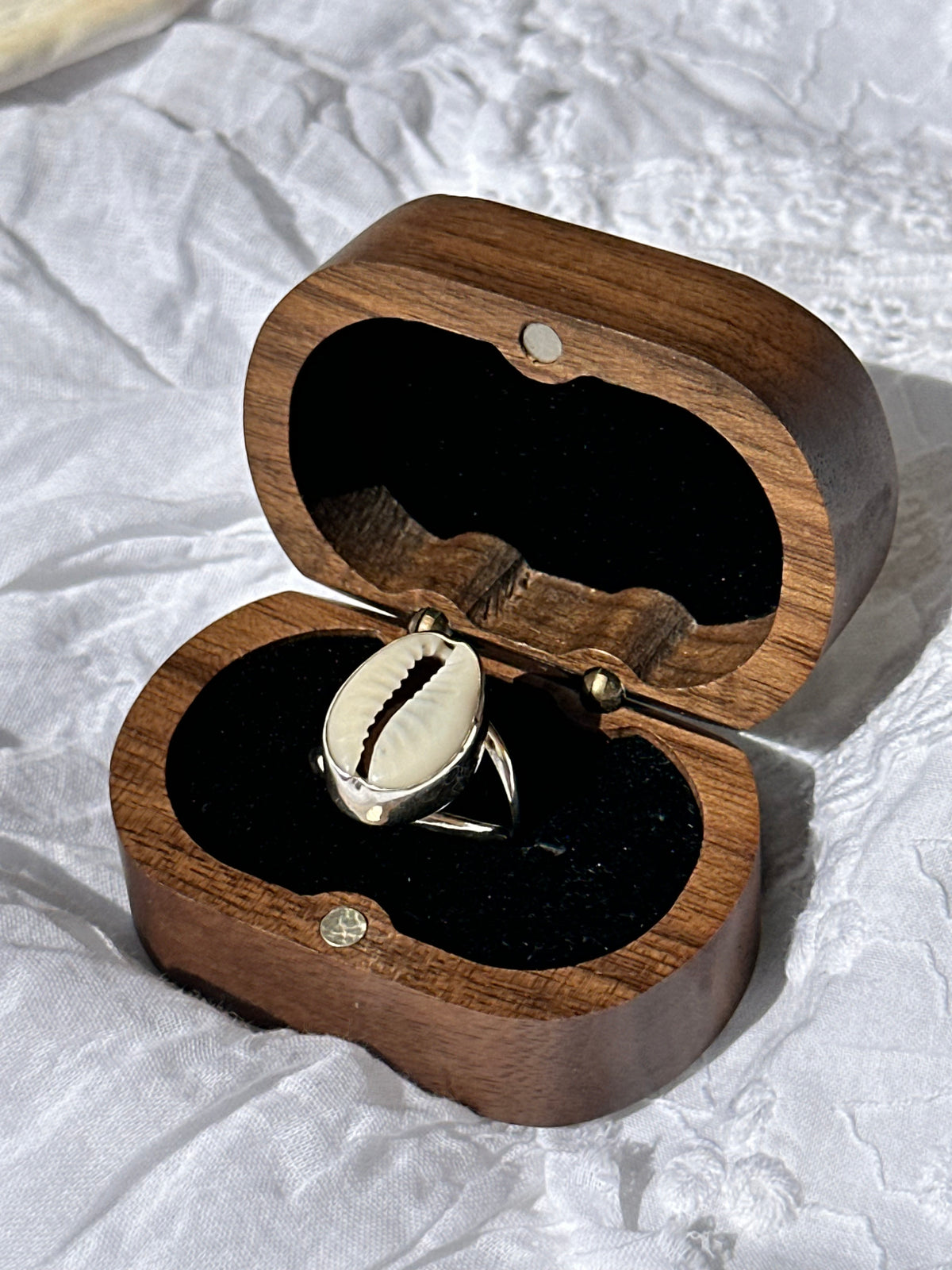 Double band cowrie shell ring SIZE: 6 3/4