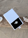 Operculum ring 2 SIZE: 6 1/4