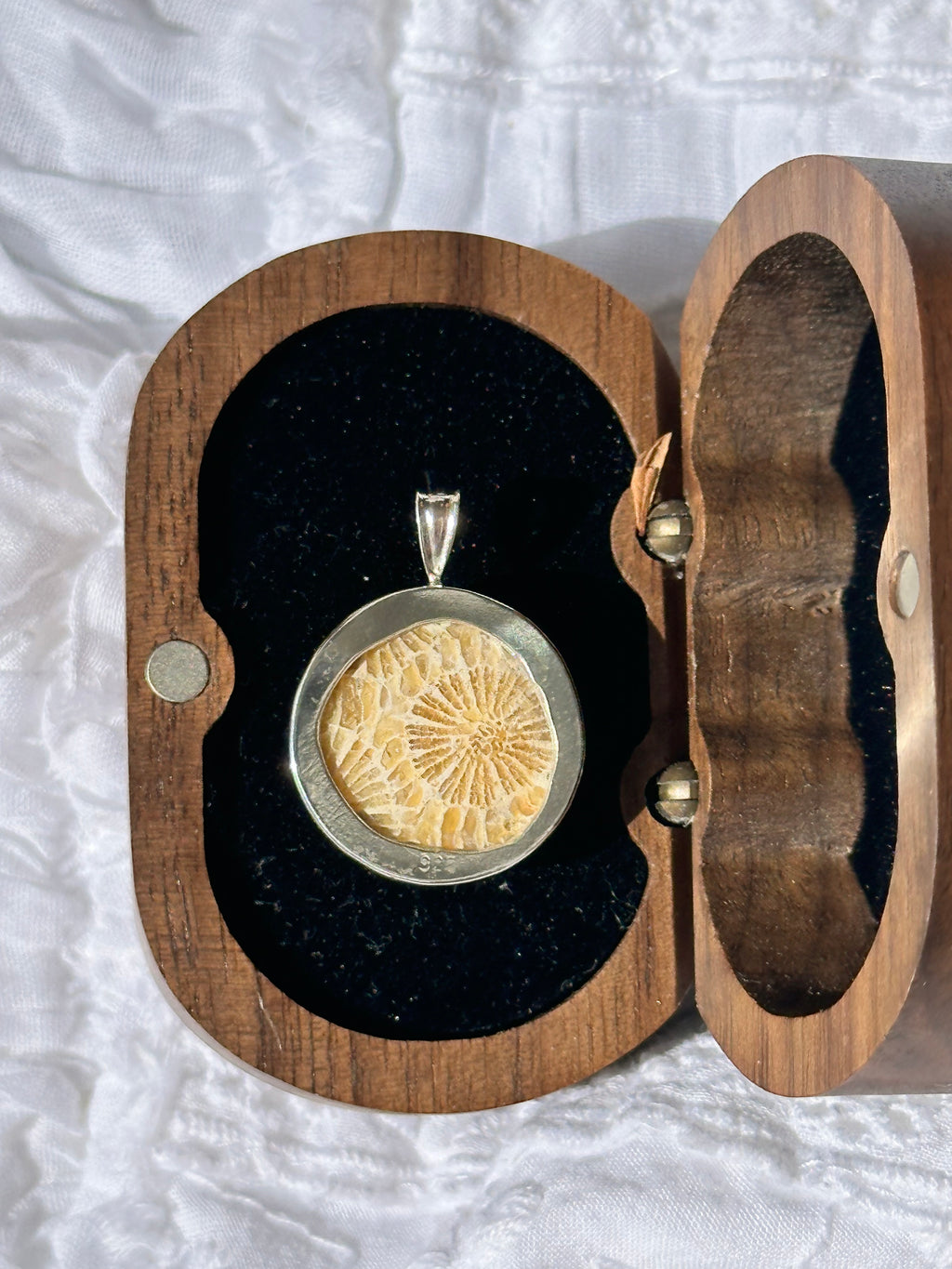Fossilised coral pendant 2