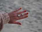 Operculum ring 2 SIZE: 6 1/4